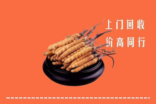 高价求购：白城回收散虫草