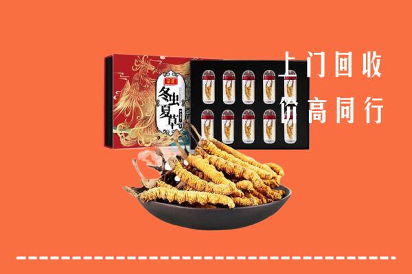 收购行情：白城回收虫草